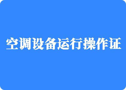 日插日女人视频制冷工证